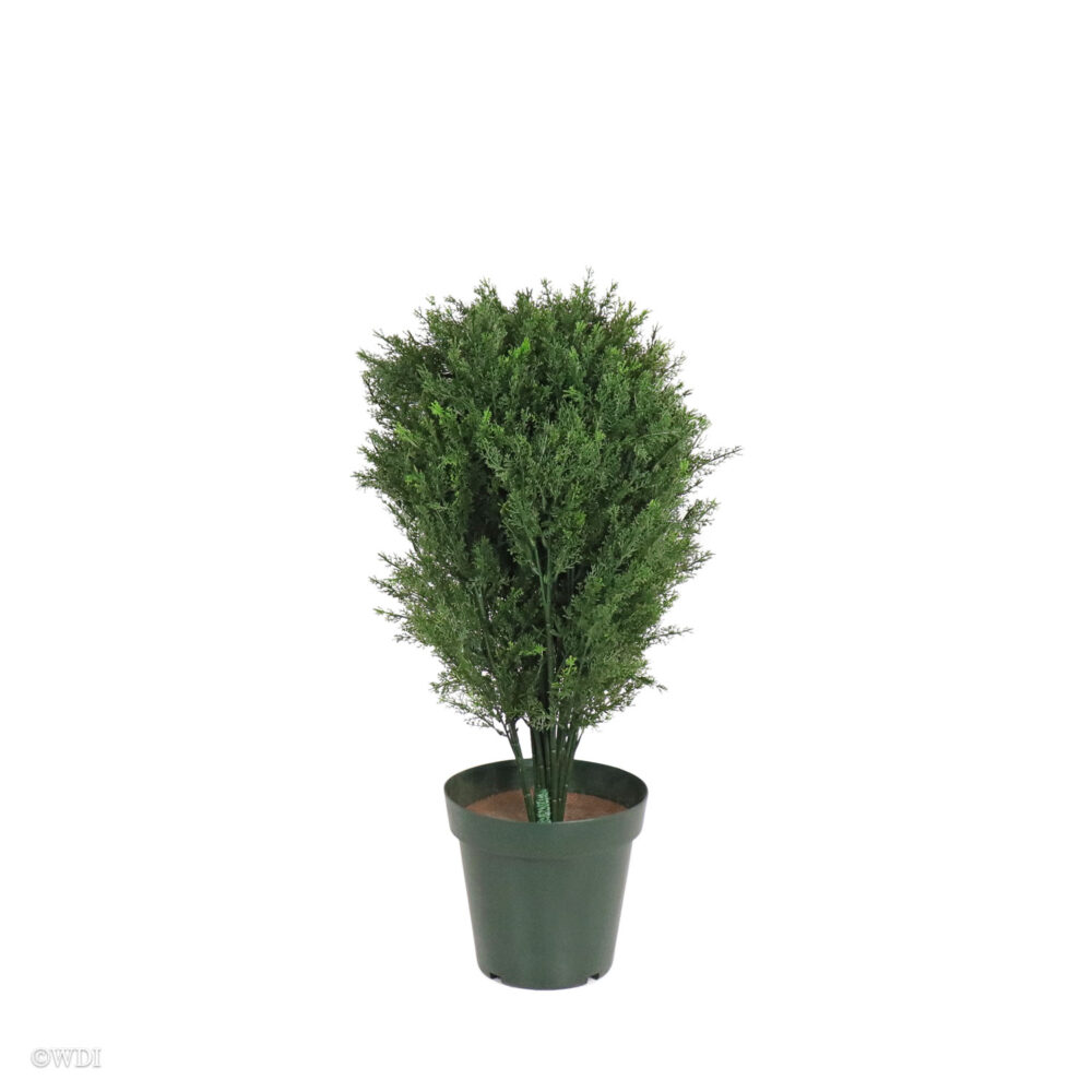 Mini Cedar Topiary, Green, 36in (UV) - Image 3