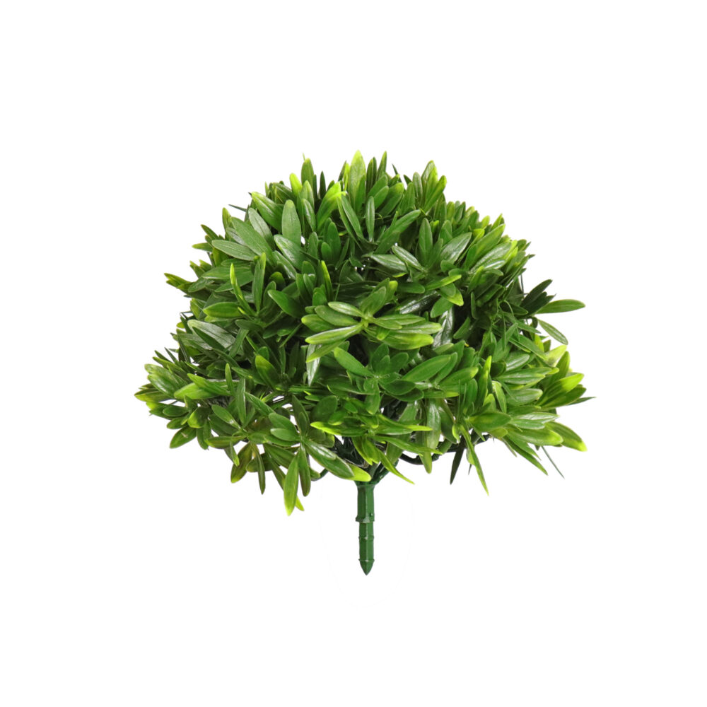 Boxwood Bush, Rivera, 9.5in (UV)