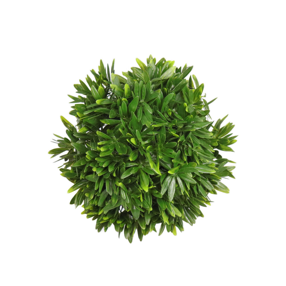 Boxwood Bush, Rivera, 9.5in (UV) - Image 2