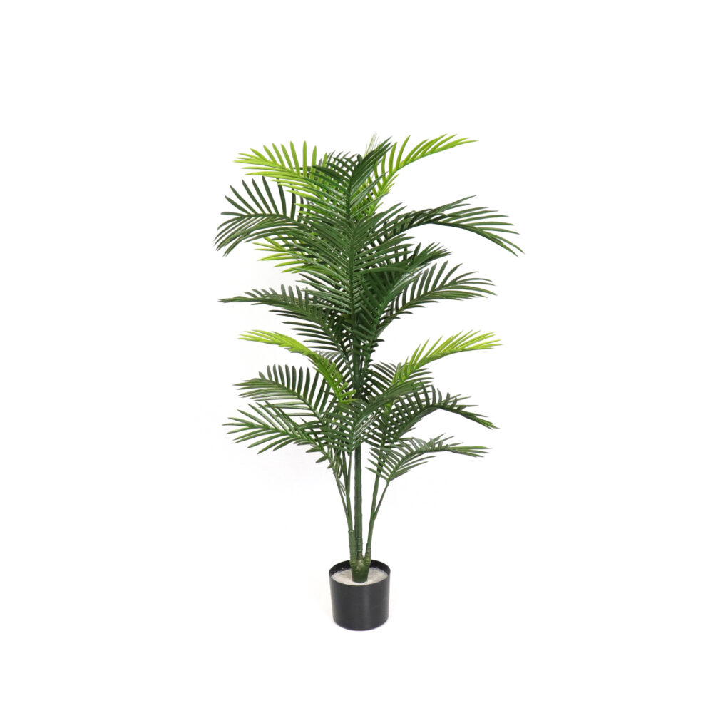 Unpotted Robellini Palm Tree, Green, 4ft (UV)