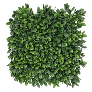 Barcelona Boxwood Mat, 12in (UV)