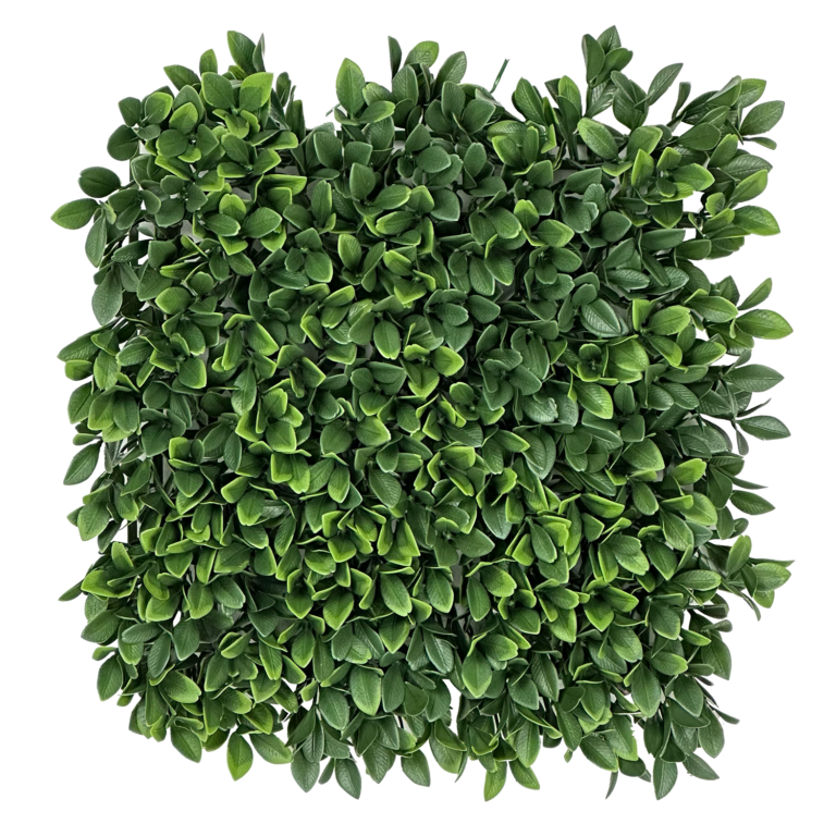 Barcelona Boxwood Mat, 12in (UV)