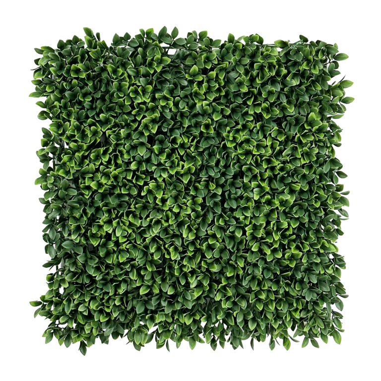 Barcelona Boxwood Mat, 24in (UV)