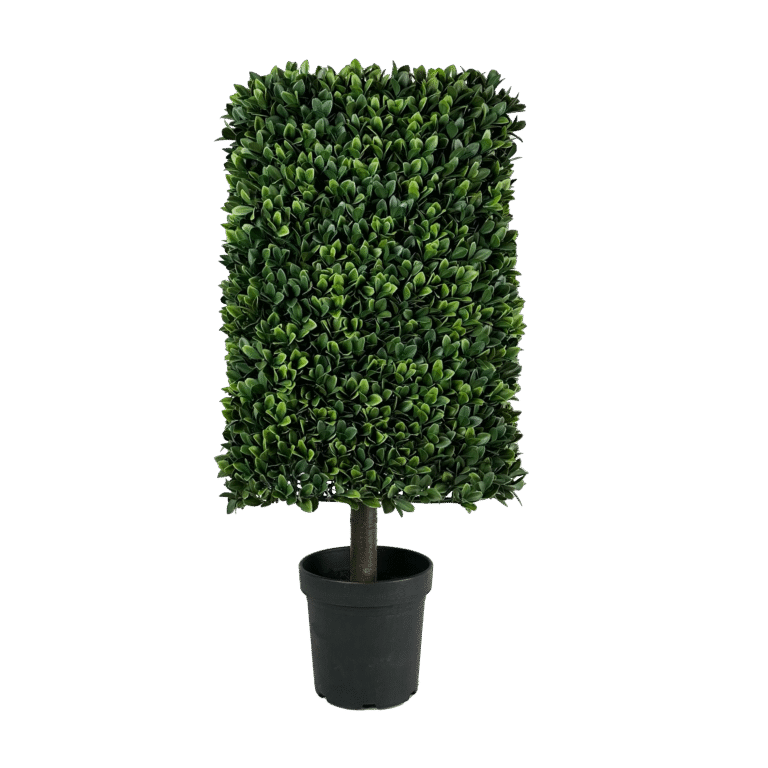 Barcelona Boxwood Square Top, 31in (UV)