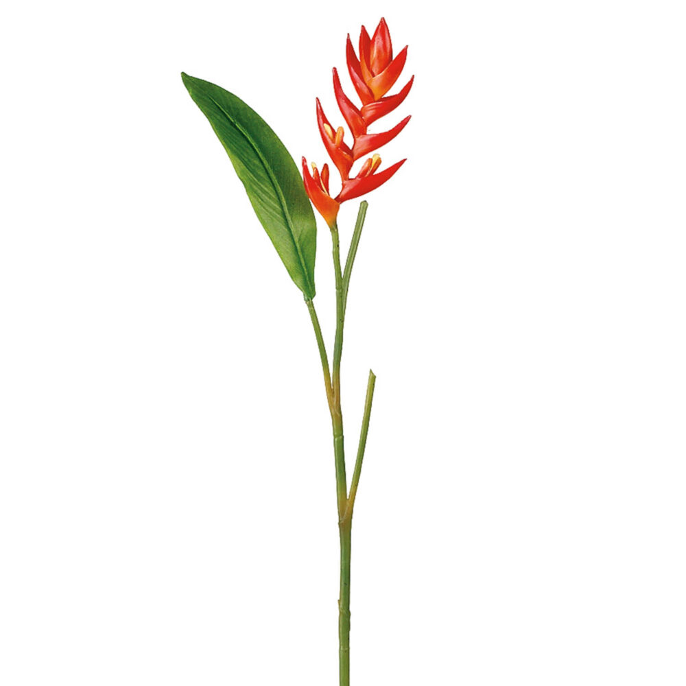 Heliconia Spray Mini, 33in