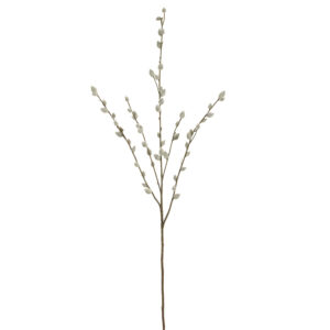 Pussy Willow Spray, 31in