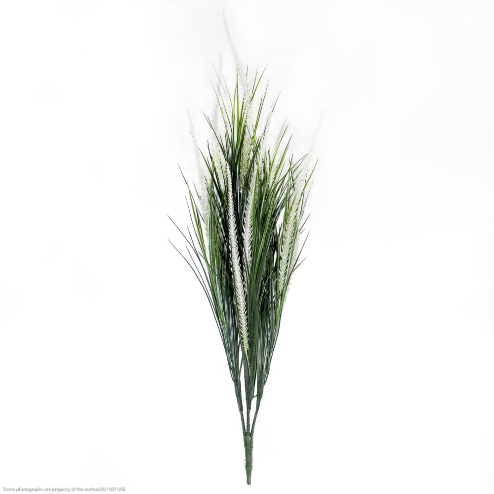 Grass w White Foxtails Pick, Green, 24in