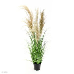 Grass and Natural Reeds, 37in