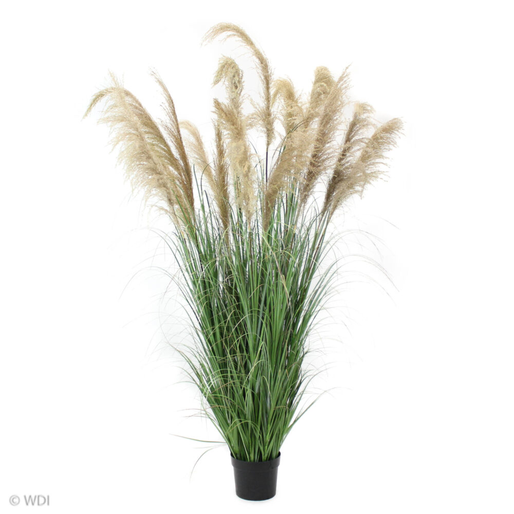 Unpotted Grass and Natural Reeds, 6ft