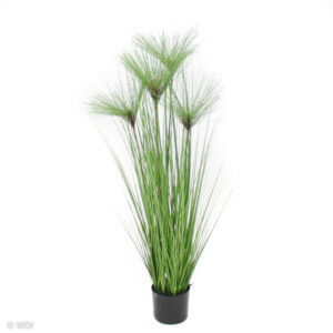 Papyrus (Grass and Pine Needles), 4ft