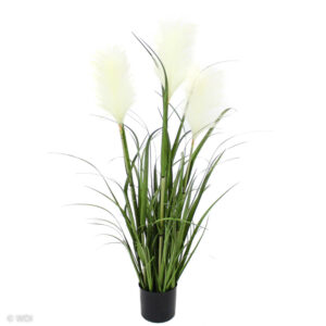 Grass and White Reeds, 39in