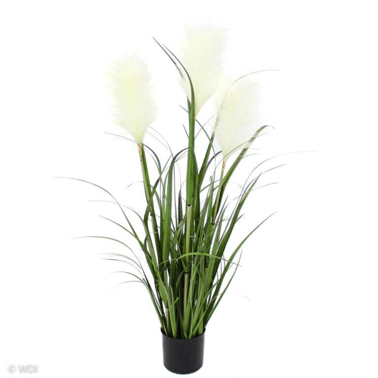 Grass and White Reeds, 39in