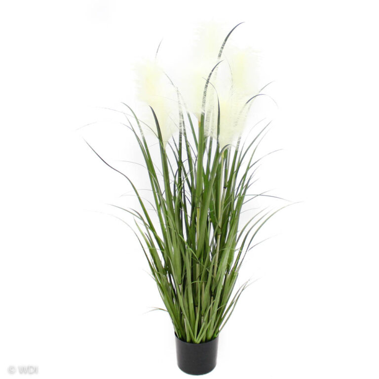 Grass and White Reeds, 52in