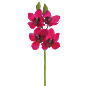 Cymbidium Orchid Spray, 19in