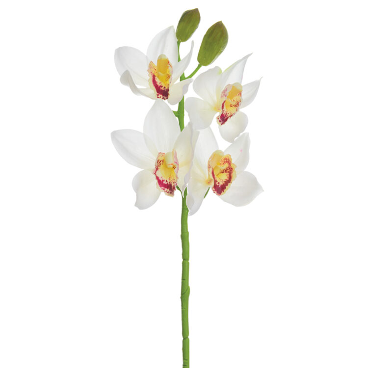 Cymbidium Orchid Spray, 19in