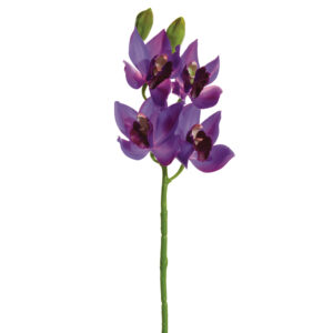 Cymbidium Orchid Spray, 19in