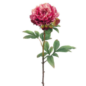 Peony Spray, 21in