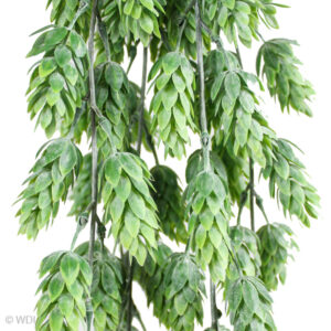 Hops Hanging Vine, Dusty Green, 29in