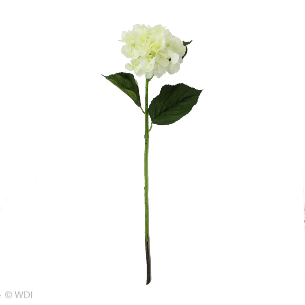 Hydrangea Stem, Cream, 24in - Image 2