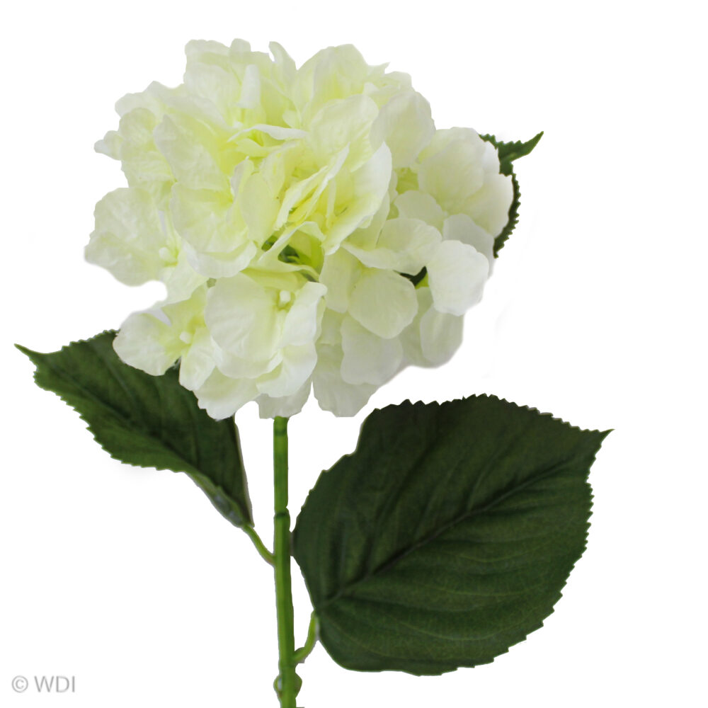 Hydrangea Stem, Cream, 24in