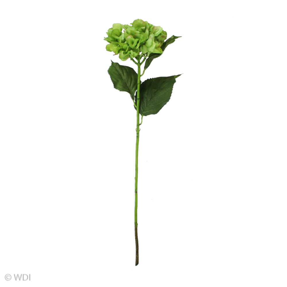 Hydrangea Stem, Green, 24in - Image 2