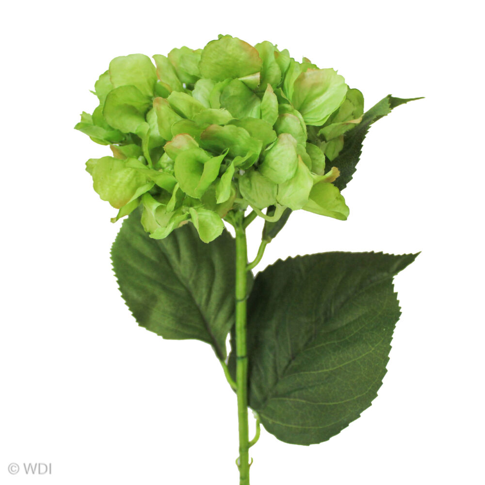 Hydrangea Stem, Green, 24in