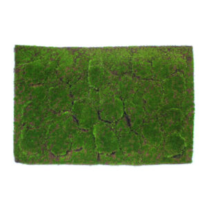Moss Sheet