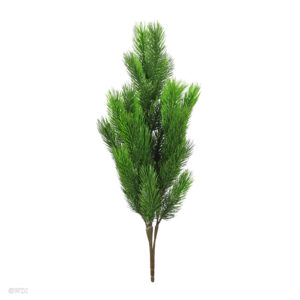 Pine Bush, Green, 24in