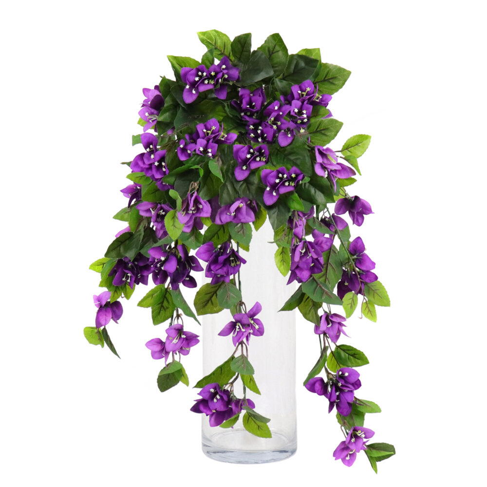 Bougainvillea Hanging Vine, Purple, 24in (UV)