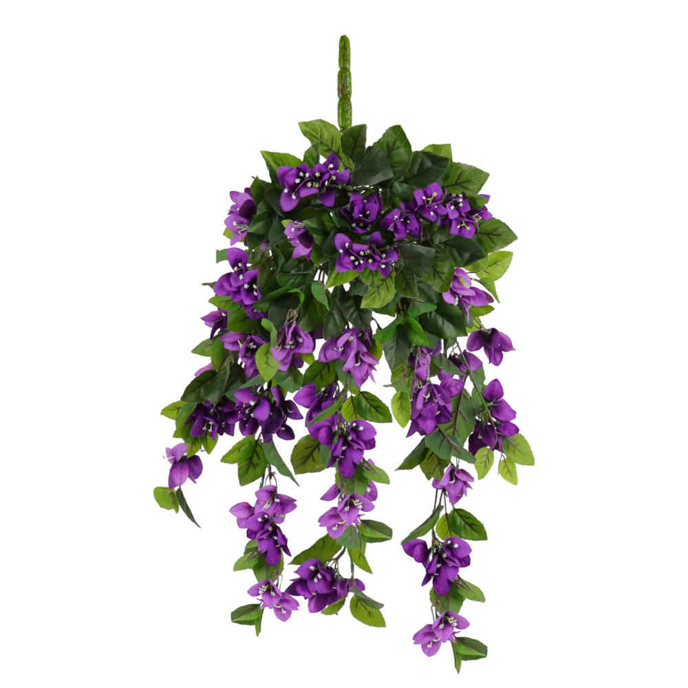 Bougainvillea Hanging Vine, Purple, 24in (UV)