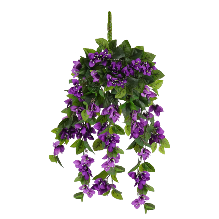 Bougainvillea Hanging Vine, Purple, 24in (UV)