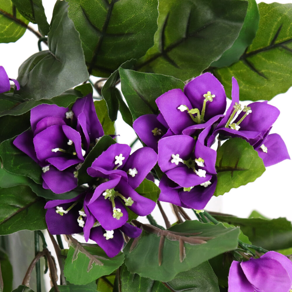 Bougainvillea Hanging Vine, Purple, 24in (UV) - Image 2