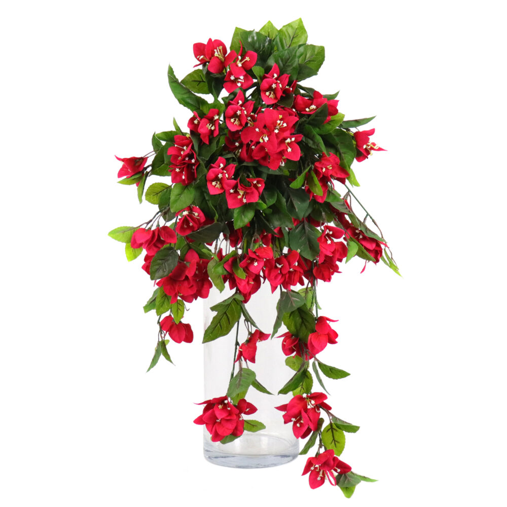 Bougainvillea Hanging Vine, Red, 24in (UV)