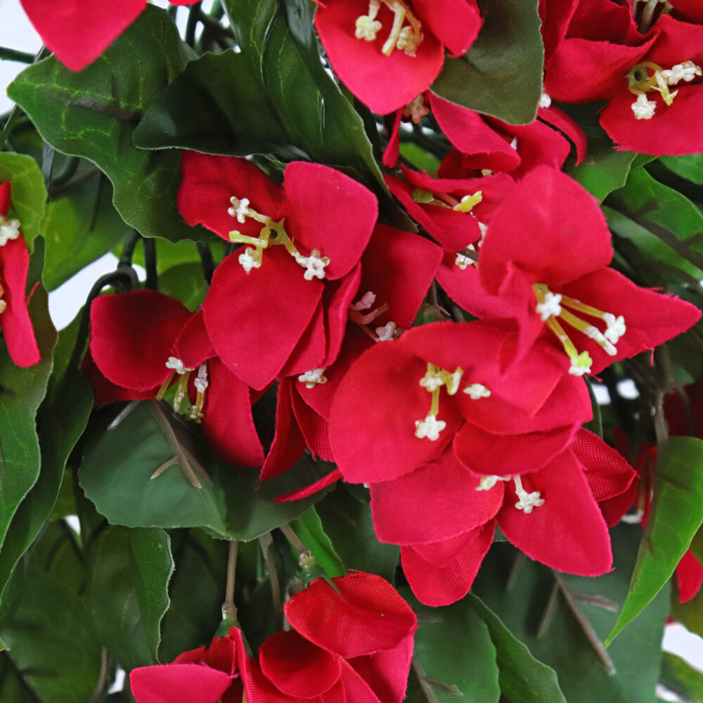 Bougainvillea Hanging Vine, Red, 24in (UV) - Image 2