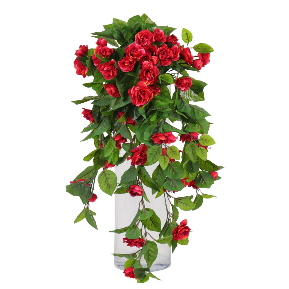 Camelia Hanging Vine, Red, 24in (UV)