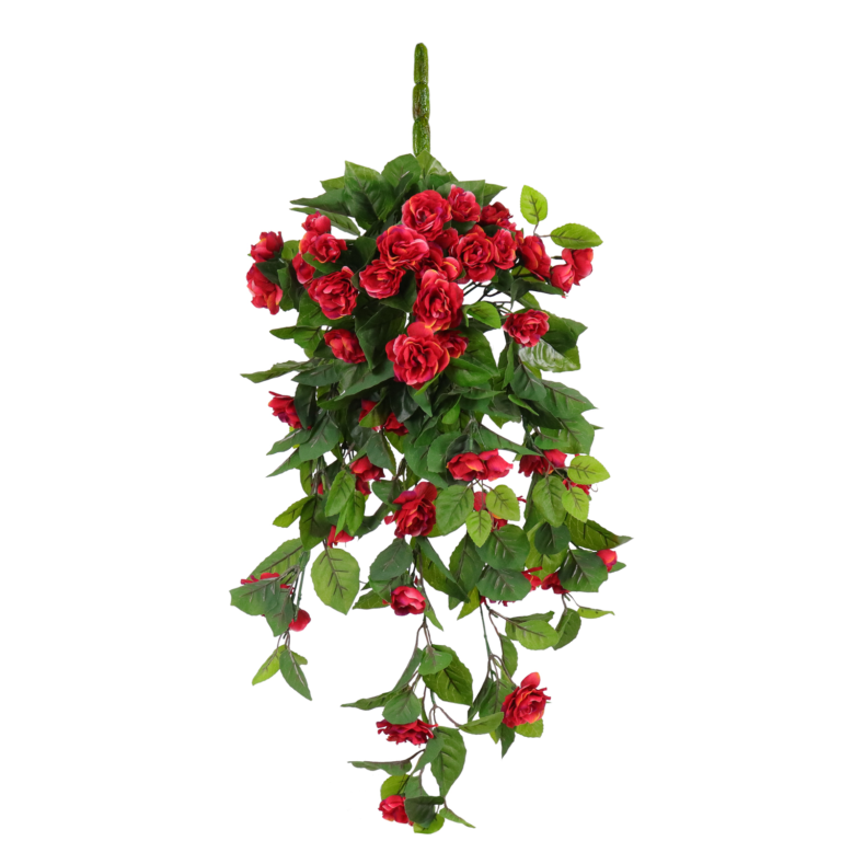 Camelia Hanging Vine, Red, 24in (UV)