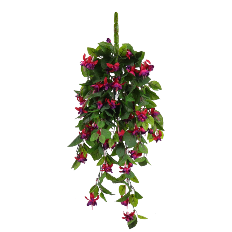 Fuchsia Hanging Vine, Burgundy, 24in (UV)