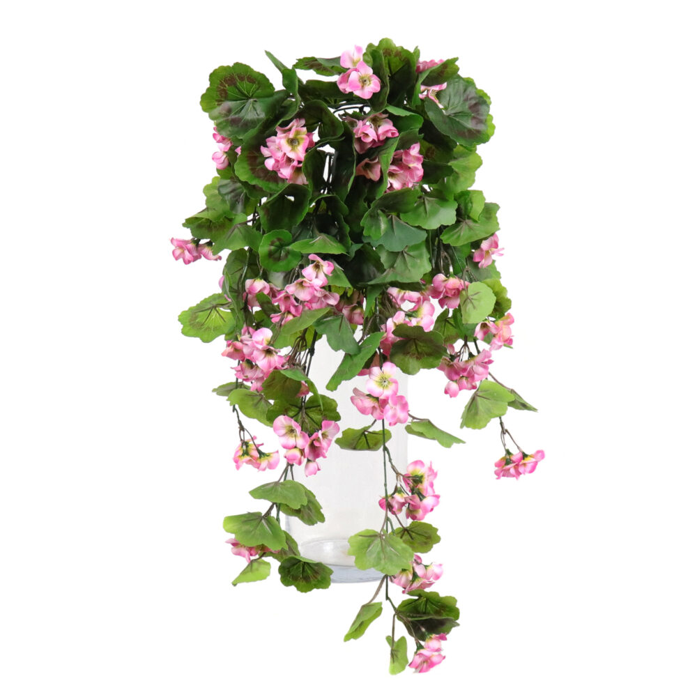 Geranium Hanging Vine, Pink, 24in (UV)