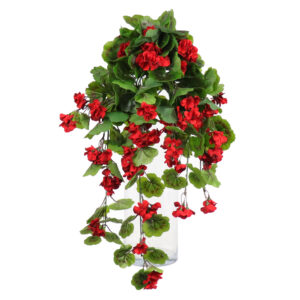Geranium Hanging Vine, Red, 24in (UV)