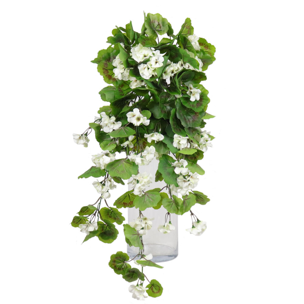 Geranium Hanging Vine, White, 24in (UV)