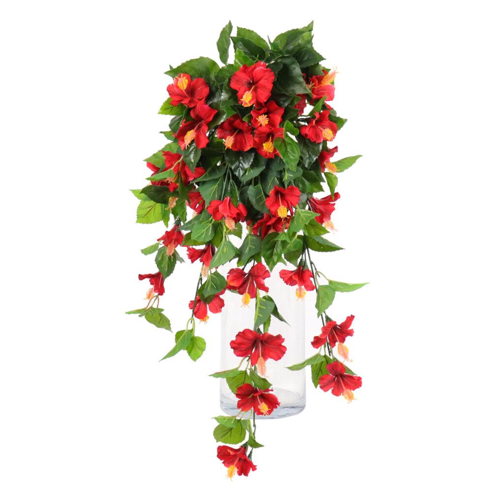 Hibiscus Hanging Vine, Red, 24in (UV)