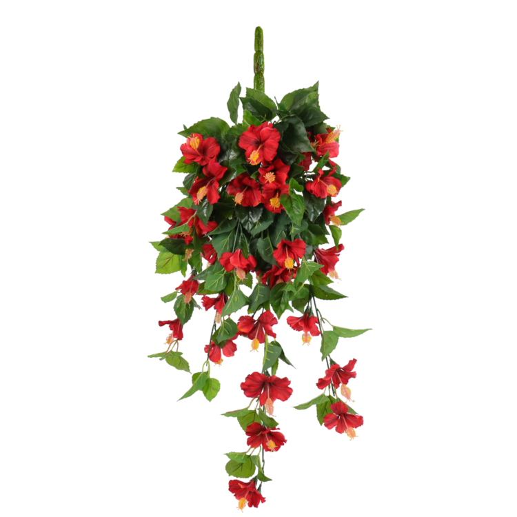 Hibiscus Hanging Vine, Red, 24in (UV)