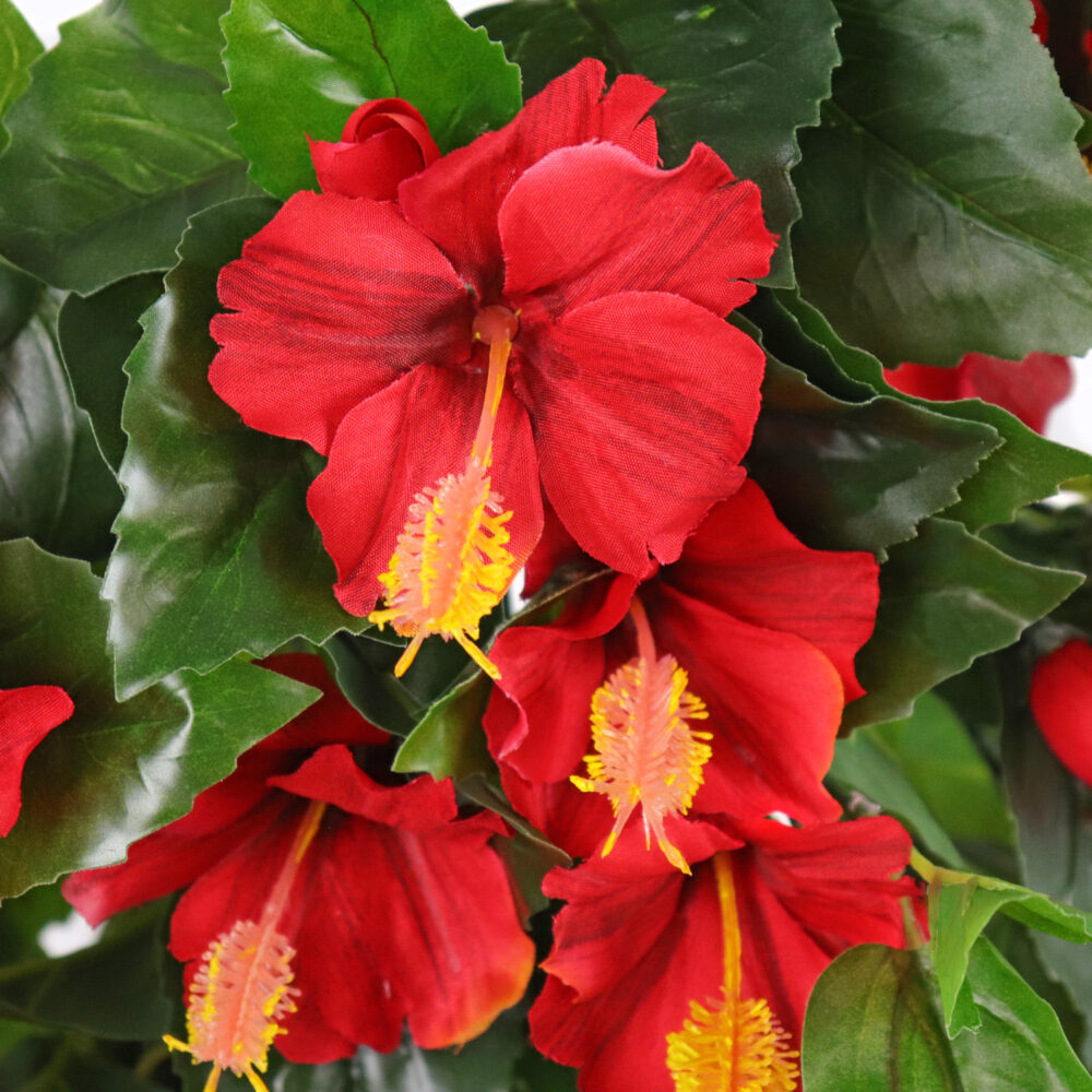 Hibiscus Hanging Vine, Red, 24in (UV) - Image 2