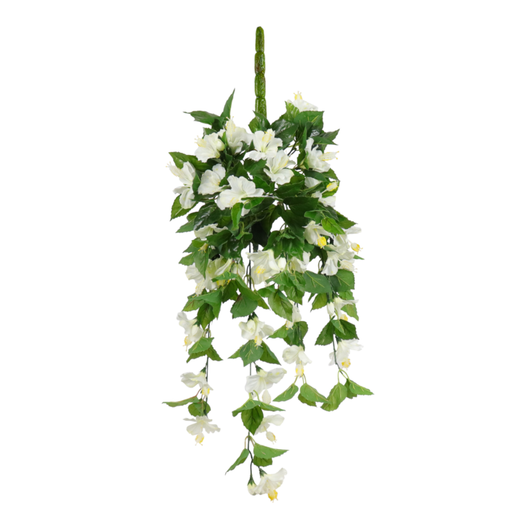 Geranium Hanging Vine, White, 24in (UV)