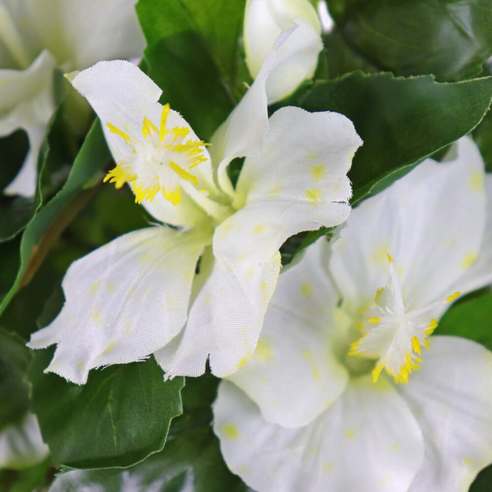 Hibiscus Hanging Vine, White, 24in (UV) - Image 2