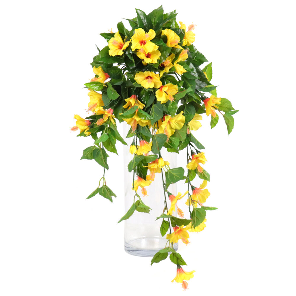 Hibiscus Hanging Vine, Yellow, 24in (UV)