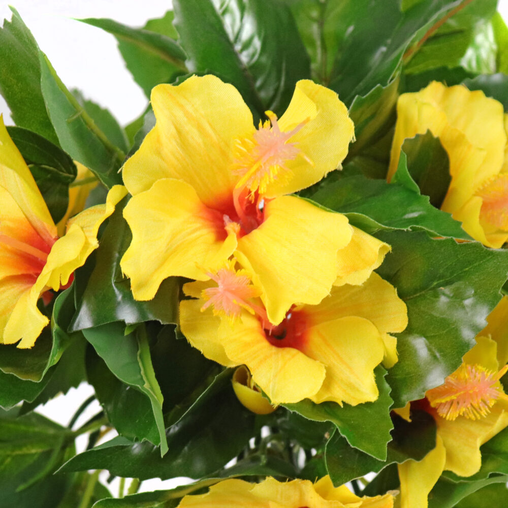 Hibiscus Hanging Vine, Yellow, 24in (UV) - Image 2