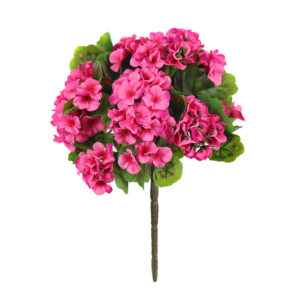 Geranium Bush, Fuchsia, 21in (UV)