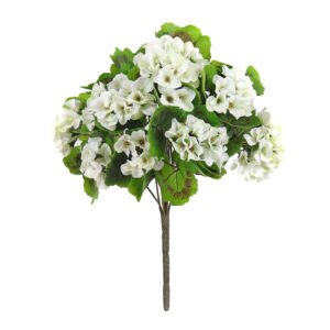 Geranium Bush, White, 21in (UV)