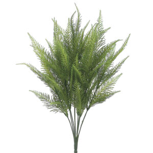 Australia Fern Bush, 20in